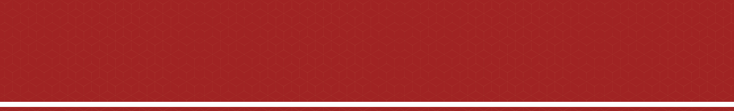 bg-hsnl