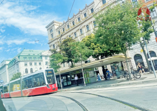 leng-keng-tieng-tau-dien-o-thanh-vienna